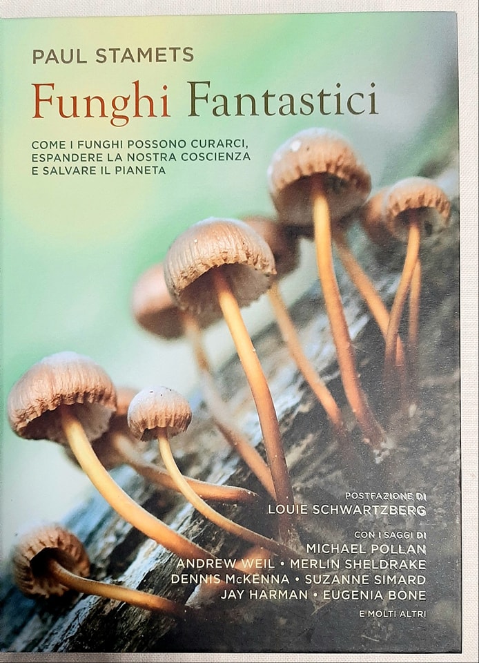  funghi-fantastici